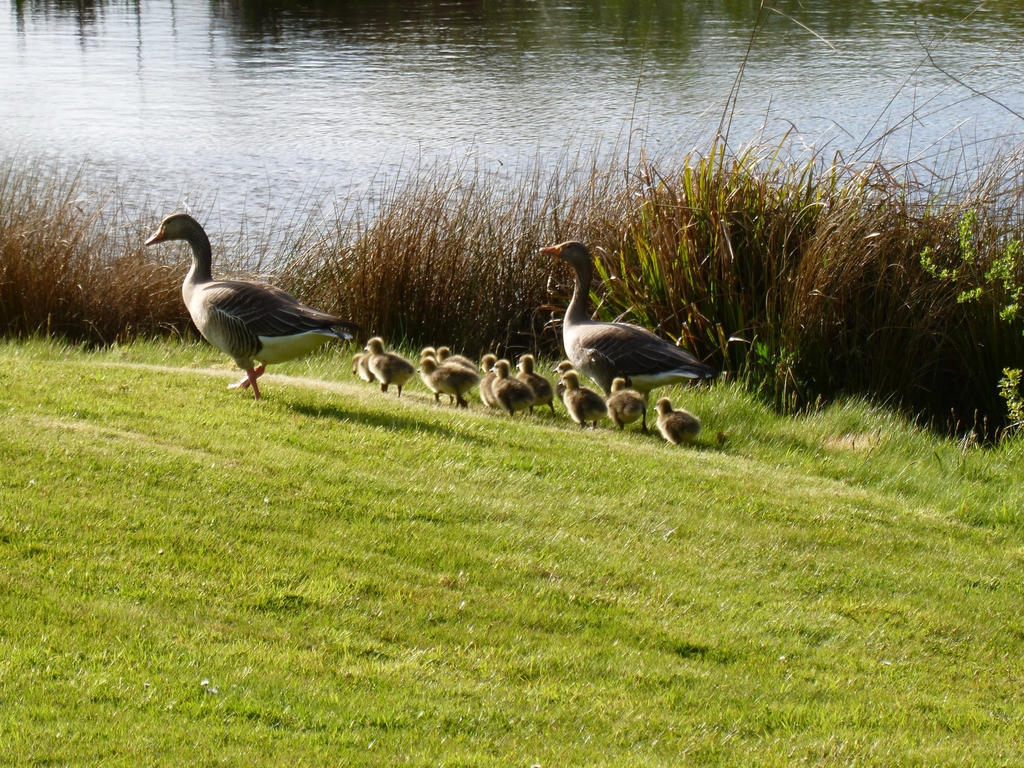 London Beach Country Hotel & Golf Club Тентерден Экстерьер фото